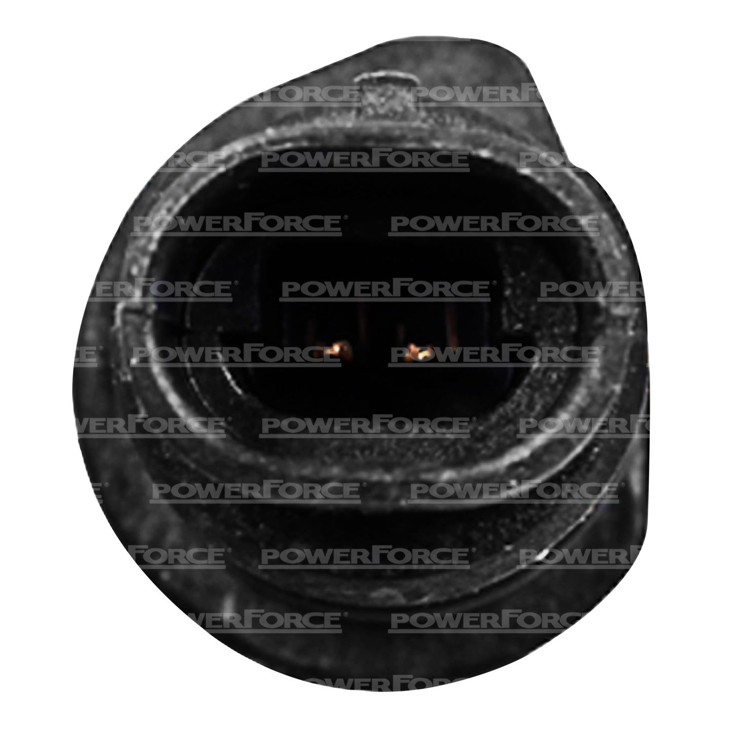 Porta Carbon Para Marcha 39mt 12v-24v Delco 10539737 69-134